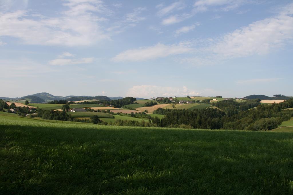 Kirchenwirt Inn Kreuzen  Extérieur photo